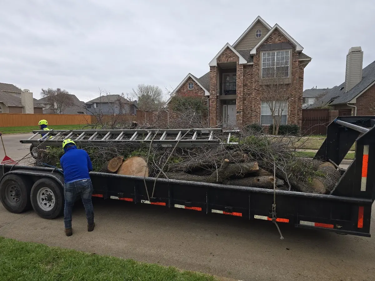 Expert Tree Fertilization with proper safety equipment in Tracy
